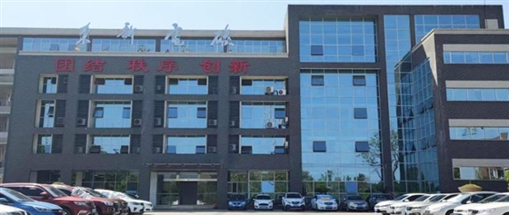 自贡东新电碳项目